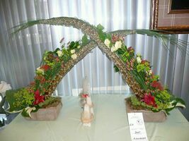 Foto: Dr. Jörg M. Giffei